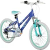Sonic Beau 20 Inch Wheel Kids Mountain Bike Blue -Good Velo Supply Sales Store 1M1521A