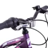 Professional Shocker 20 Inch Wheel Kids Mountain Bike Purple -Good Velo Supply Sales Store 81fgawpm5bl. ac sl1500
