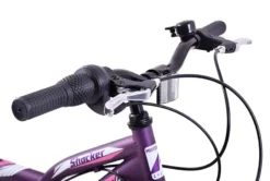 Professional Shocker 20 Inch Wheel Kids Mountain Bike Purple