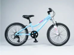 Schwinn Cimarron 20 Inch Wheel Kids Bike Blue