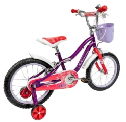 Schwinn Elm 16 Inch Wheel Kids Bike Purple -Good Velo Supply Sales Store DSC08041