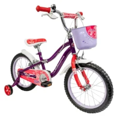 Schwinn Elm 16 Inch Wheel Kids Bike Purple -Good Velo Supply Sales Store DSC08042