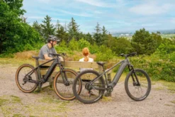 Claud Butler Wrath 1.0 29 Inch Wheel Electric Bike Grey -Good Velo Supply Sales Store DSC08405