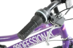 Professional Enchant 20 Inch Kids Bike Purple 14 Professional Enchant 20 Inch Kids Bike Purple -Good Velo Supply Sales Store ENCHANTEDH