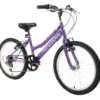 Professional Enchant 20 Inch Kids Bike Purple