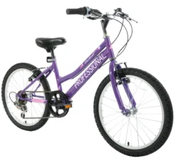 Professional Enchant 20 Inch Kids Bike Purple
