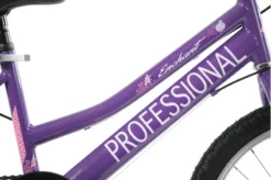 Professional Enchant 20 Inch Kids Bike Purple 21 Professional Enchant 20 Inch Kids Bike Purple -Good Velo Supply Sales Store ENCHANTEDa