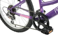 Professional Enchant 20 Inch Kids Bike Purple 15 Professional Enchant 20 Inch Kids Bike Purple -Good Velo Supply Sales Store ENCHANTEDg