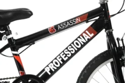 Professional Assassin 20 Inch Kids Bike Black